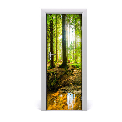 Fototapeta na dvere Les na slnku