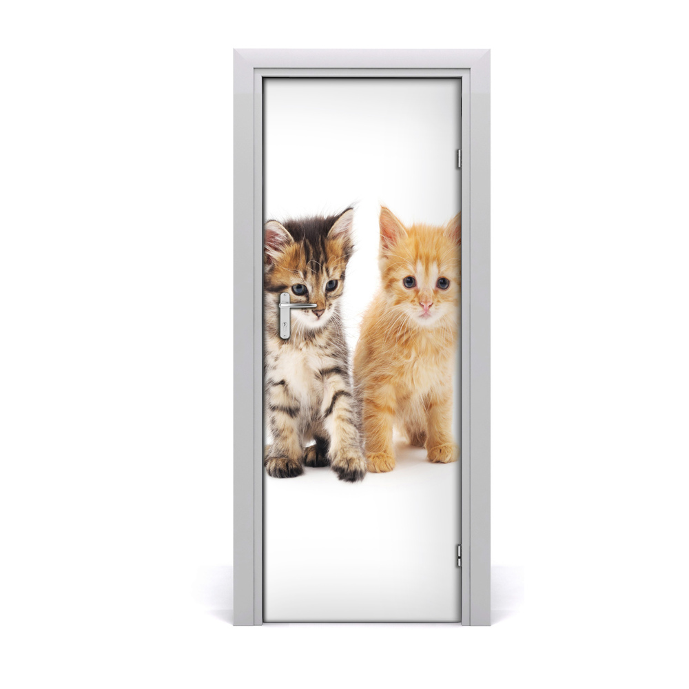 Fototapeta samolepiace na dvere Mačky
