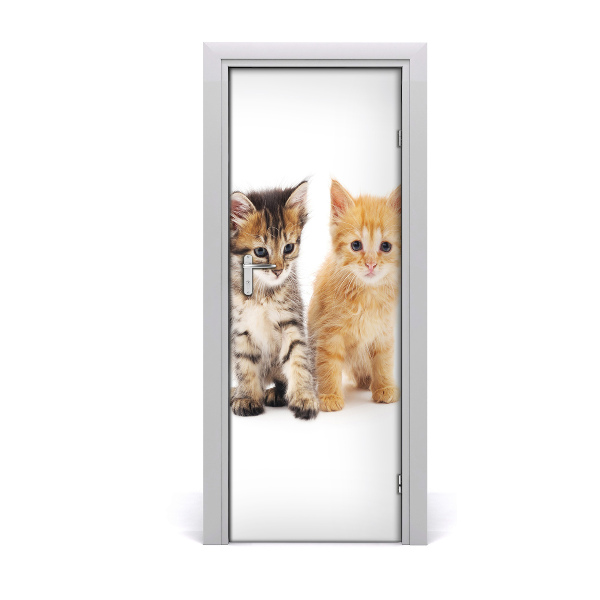 Fototapeta samolepiace na dvere Mačky