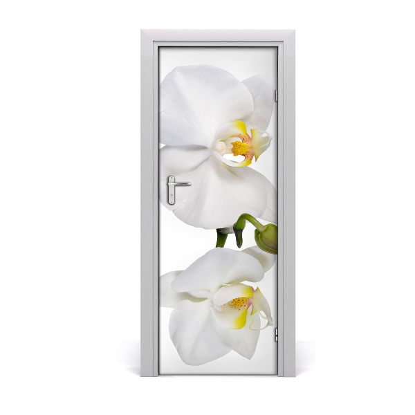 Fototapeta na dvere Biela orchidea