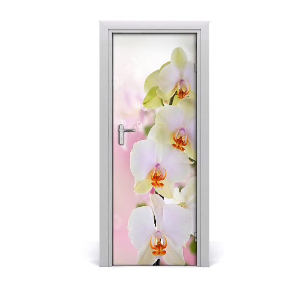 Fototapeta samolepiace na dvere Biela orchidea