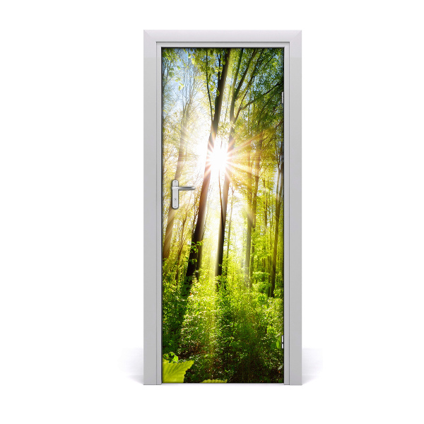Fototapeta samolepiace na dvere Slnečný les