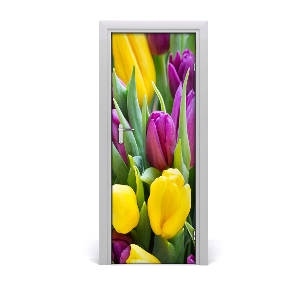 Fototapeta na dvere Farebné tulipány