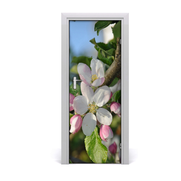 Fototapeta samolepiace na dvere Čerešňové kvety