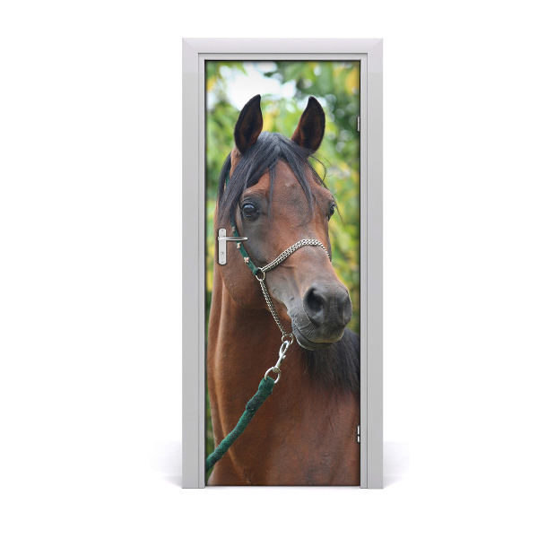 Fototapeta na dvere Hnedý kôň