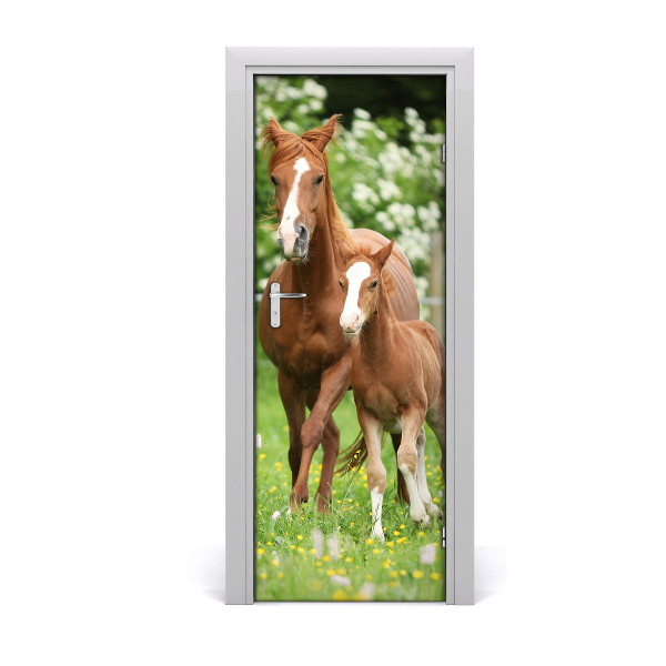 Fototapeta samolepiace na dvere Kobyla a žriebä