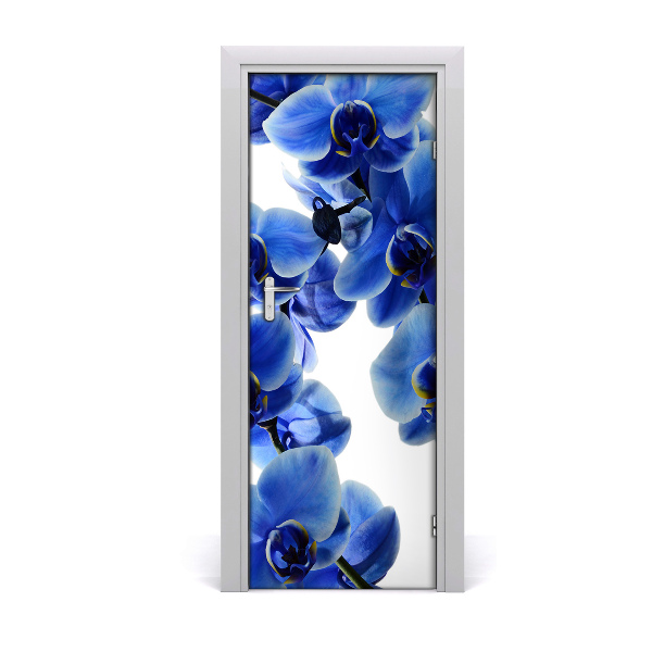 Fototapeta samolepiace na dvere Kvet orchidey