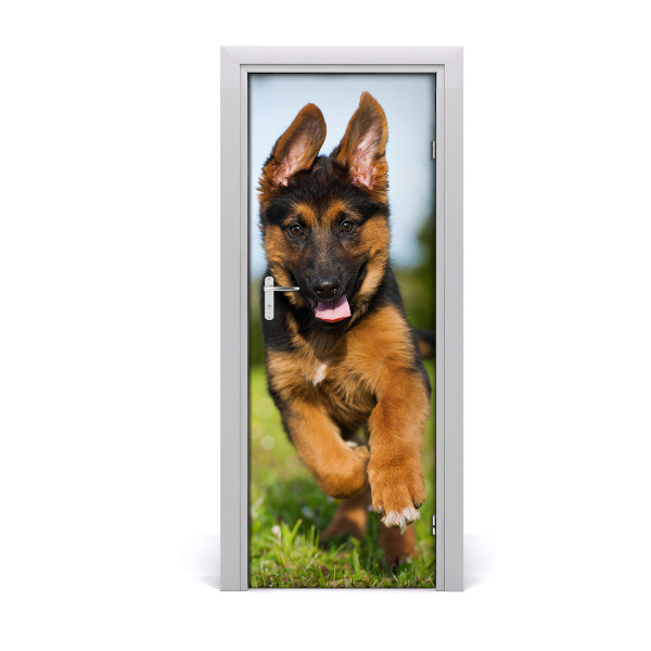Fototapeta na dvere Nemecký ovčiak