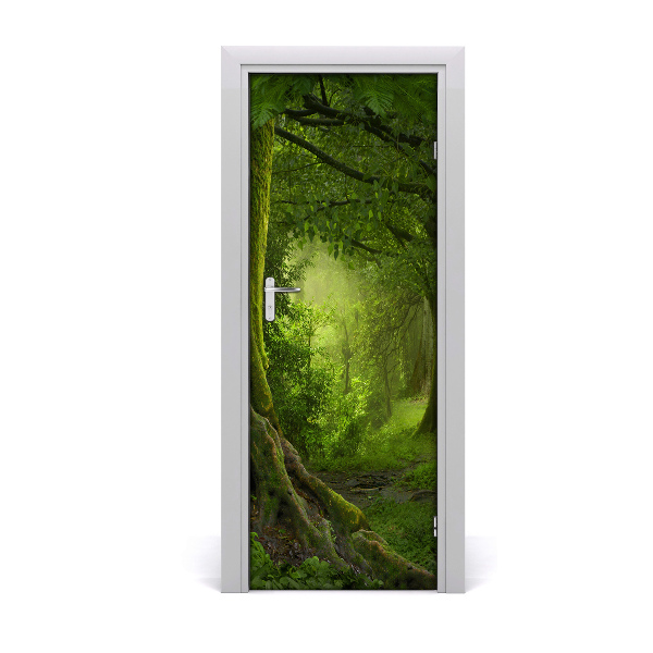 Fototapeta na dvere Džungľa