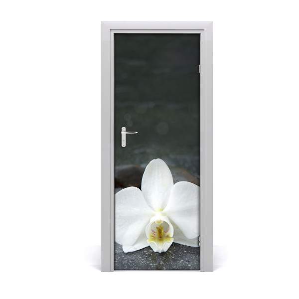 Fototapeta samolepiace na dvere Orchidea