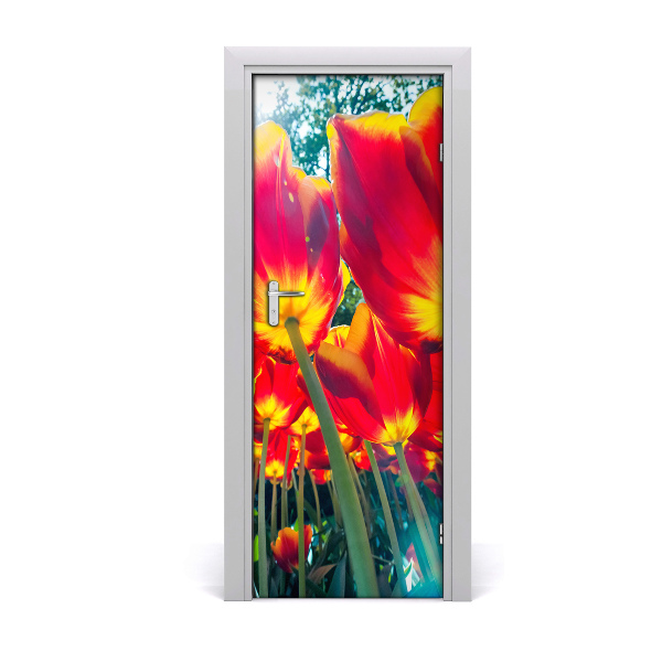 Fototapeta na dvere Tulipány