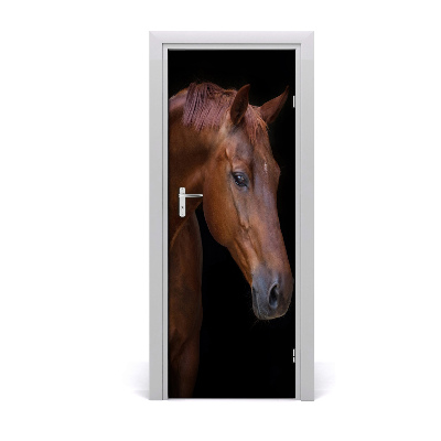 Fototapeta samolepiace na dvere Portrét koňa
