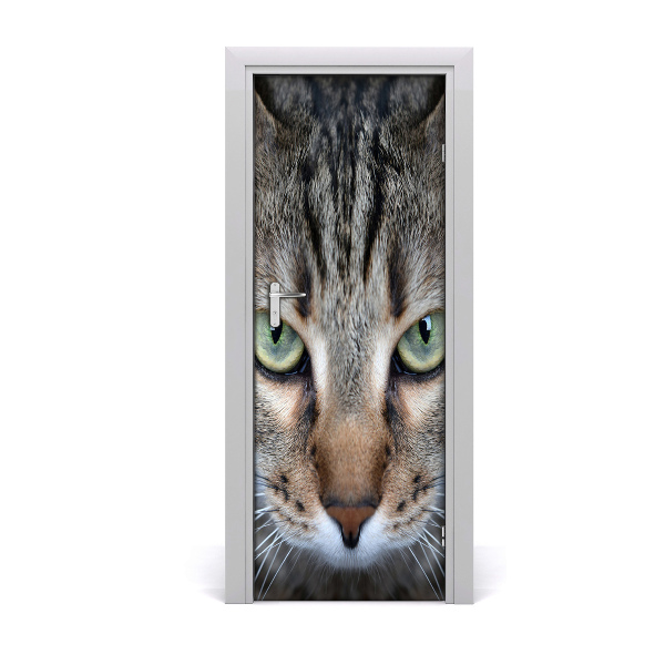 Fototapeta na dvere Mačka
