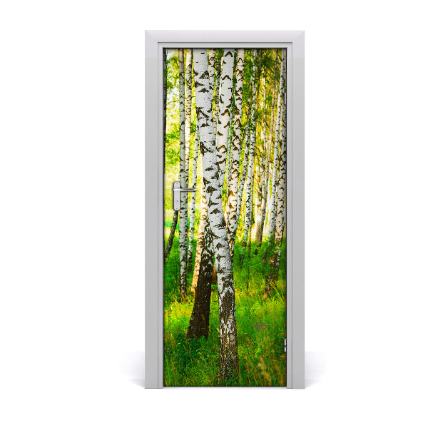 Fototapeta samolepiace na dvere Brezy lesná tráva