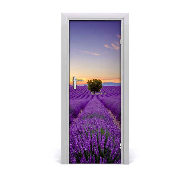 Fototapeta na dvere Levanduľové pole na západe