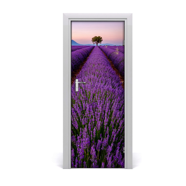 Fototapeta samolepiace na dvere Levanduľové pole