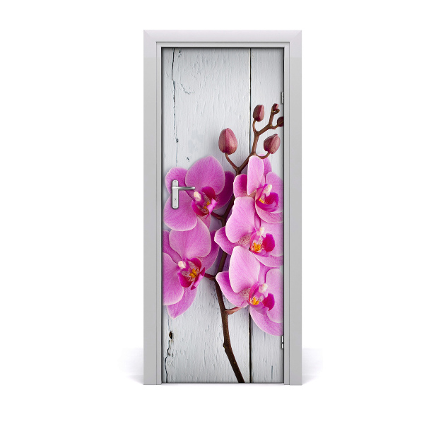 Fototapeta samolepiace na dvere Ružová orchidea