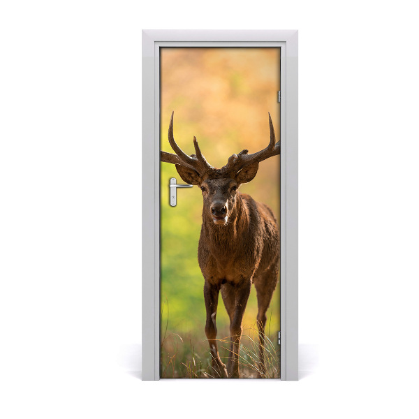 Fototapeta samolepiace na dvere Jeleň v lese