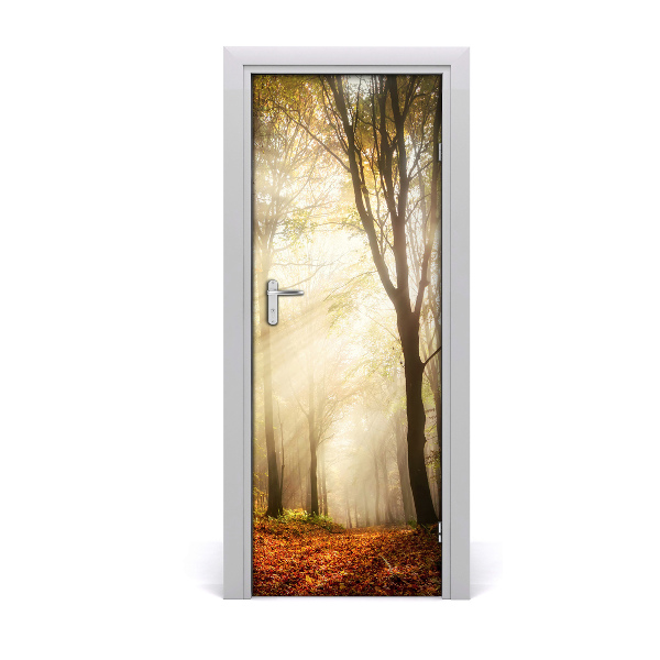 Fototapeta samolepiace na dvere Jesenný les Západ