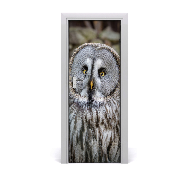Fototapeta samolepiace na dvere Sova