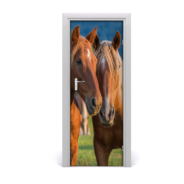 Fototapeta samolepiace na dvere Dva kone