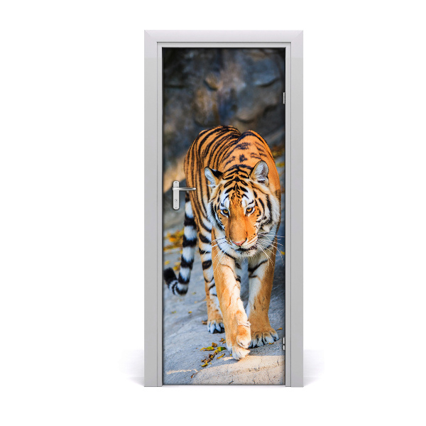 Fototapeta samolepiace na dvere Tiger