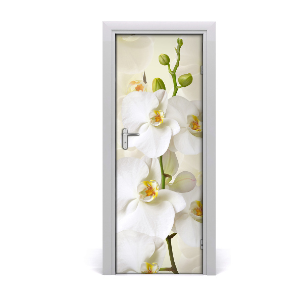 Fototapeta samolepiace na dvere Biela orchidea