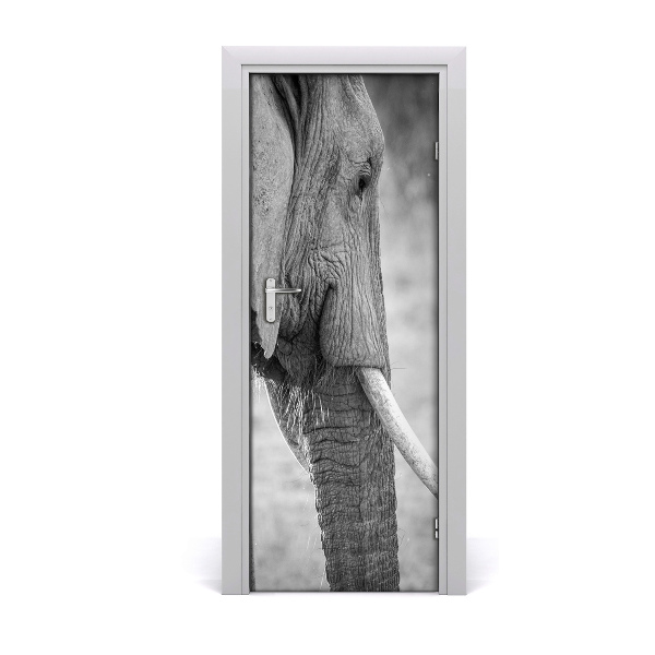 Fototapeta na dvere Slon