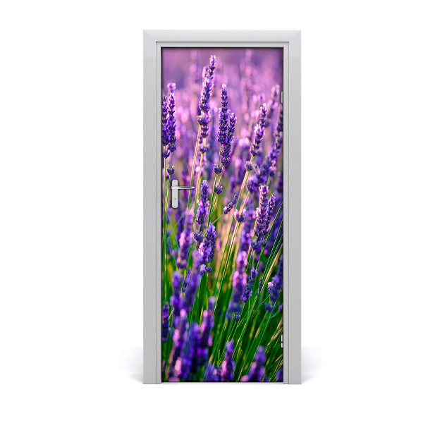 Fototapeta samolepiace na dvere Pole levandule