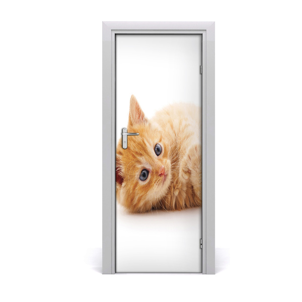 Fototapeta samolepiace na dvere Červená mačka