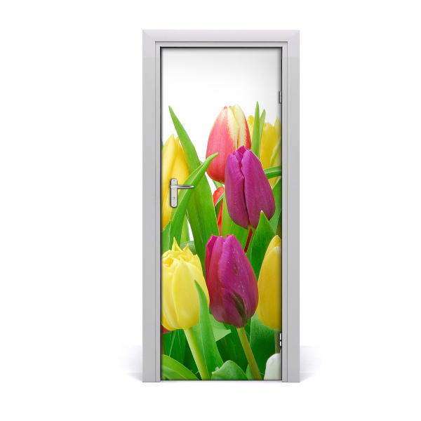 Fototapeta na dvere Kvety tulipánov