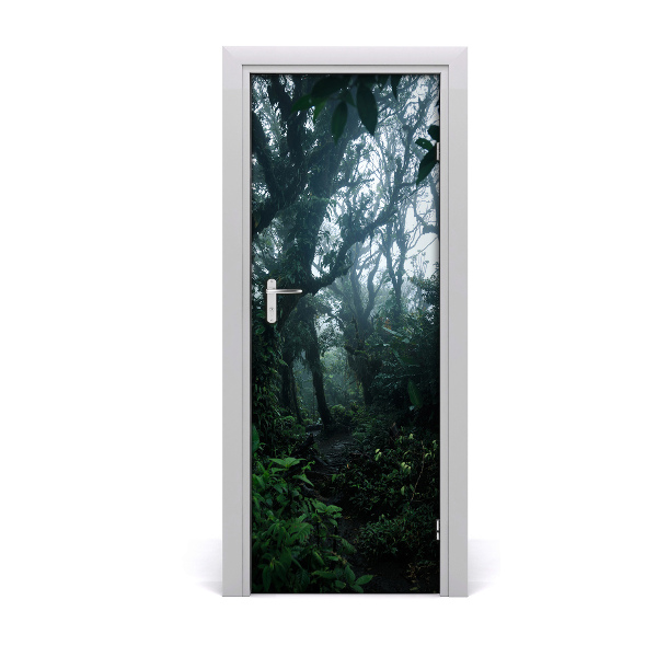 Fototapeta na dvere Dažďový prales