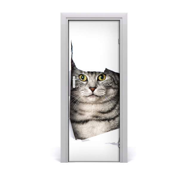 Fototapeta samolepiace na dvere Sivá mačka v diere