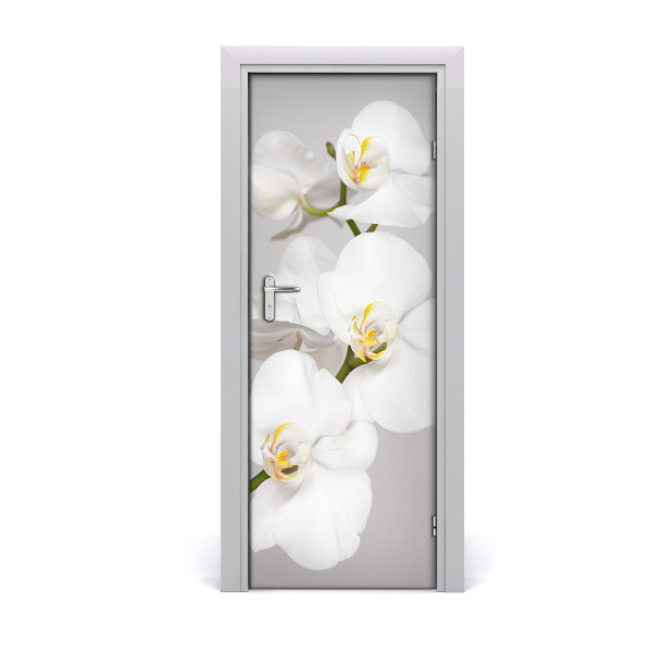 Fototapeta na dvere Biela orchidea