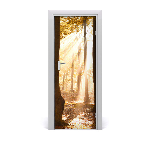 Fototapeta samolepiace na dvere Jeseň v lese