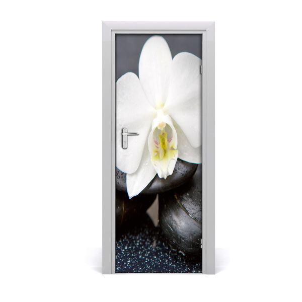 Fototapeta samolepiace na dvere Orchidea