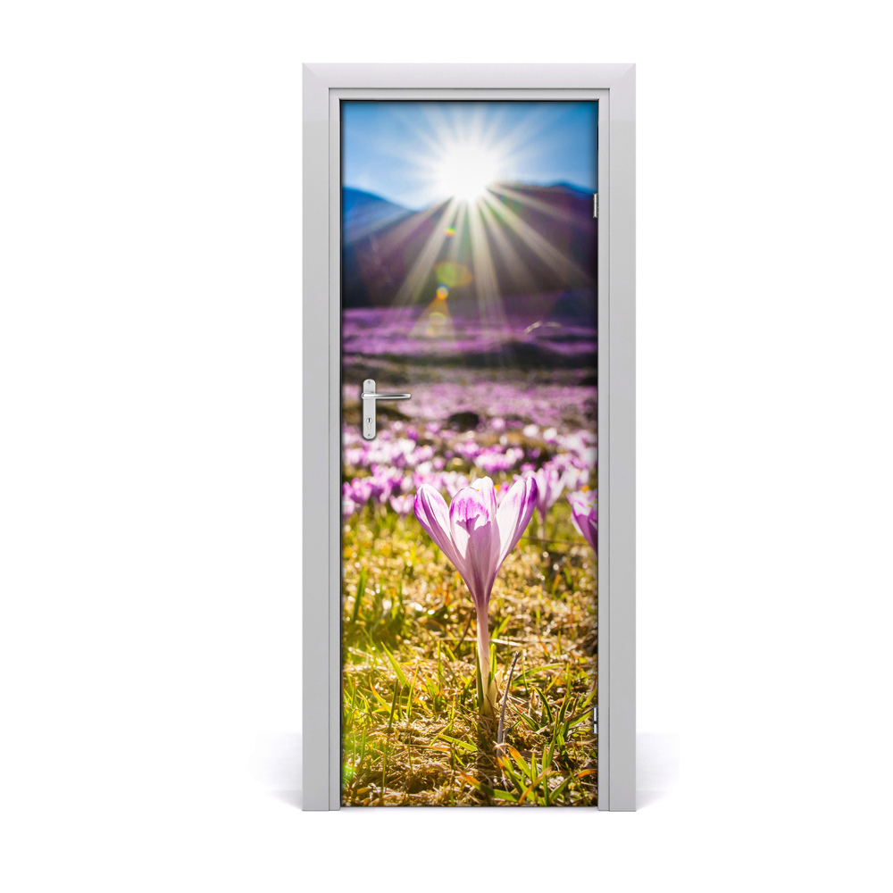 Fototapeta na dvere Hory krokusová lúka