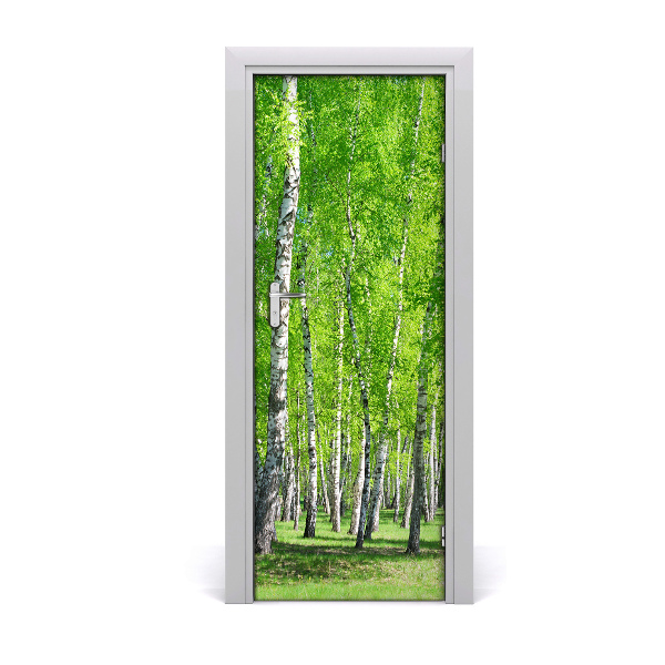 Fototapeta samolepiace na dvere Brezový les