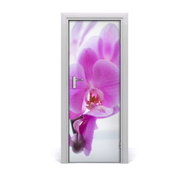 Fototapeta na dvere Ružová orchidea