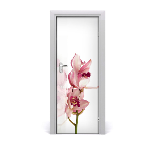 Fototapeta samolepiace na dvere Ružová orchidea