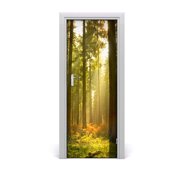 Fototapeta na dvere Lesná vegetácia slnko