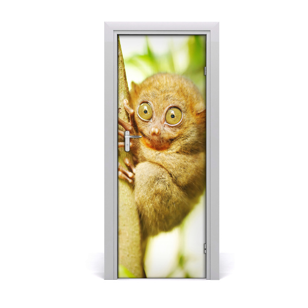 Fototapeta samolepiace na dvere Strašidelný vrak