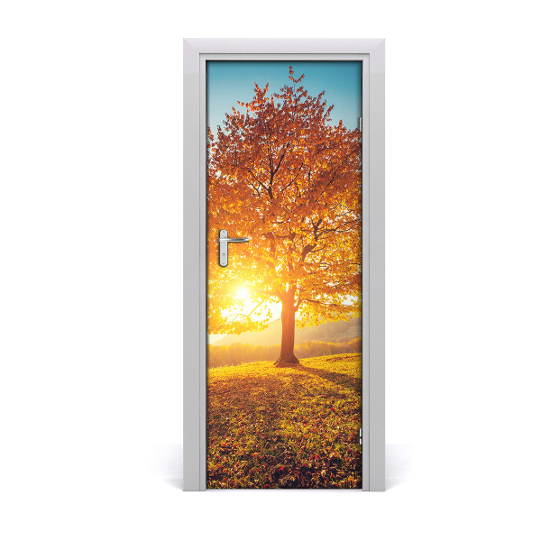 Fototapeta na dvere Jesenné slnko strom