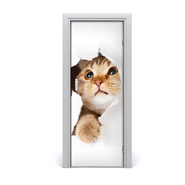 Fototapeta samolepiace na dvere Mačka