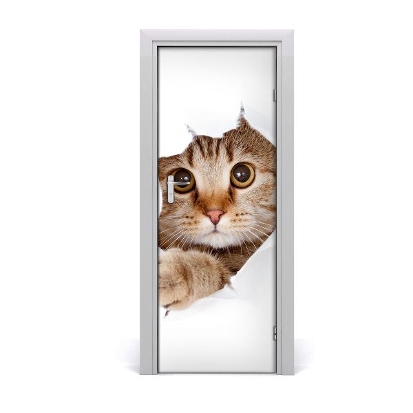 Fototapeta na dvere Mačka
