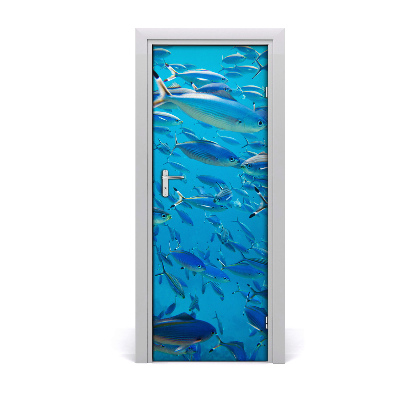 Fototapeta samolepiace na dvere Húf rýb