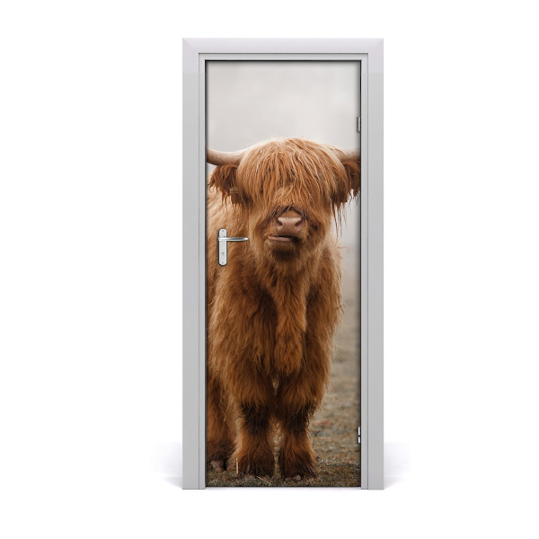Fototapeta na dvere Dlhovlasá krava
