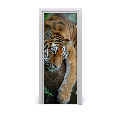 Fototapeta samolepiace na dvere Tiger na strome