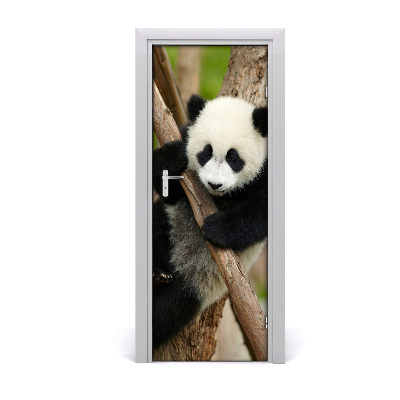 Fototapeta na dvere Panda na strome
