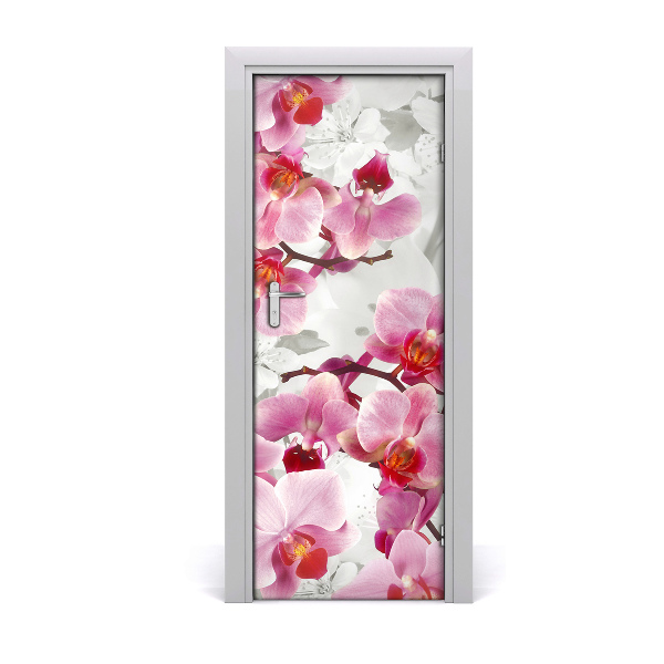 Fototapeta na dvere Ružová orchidea